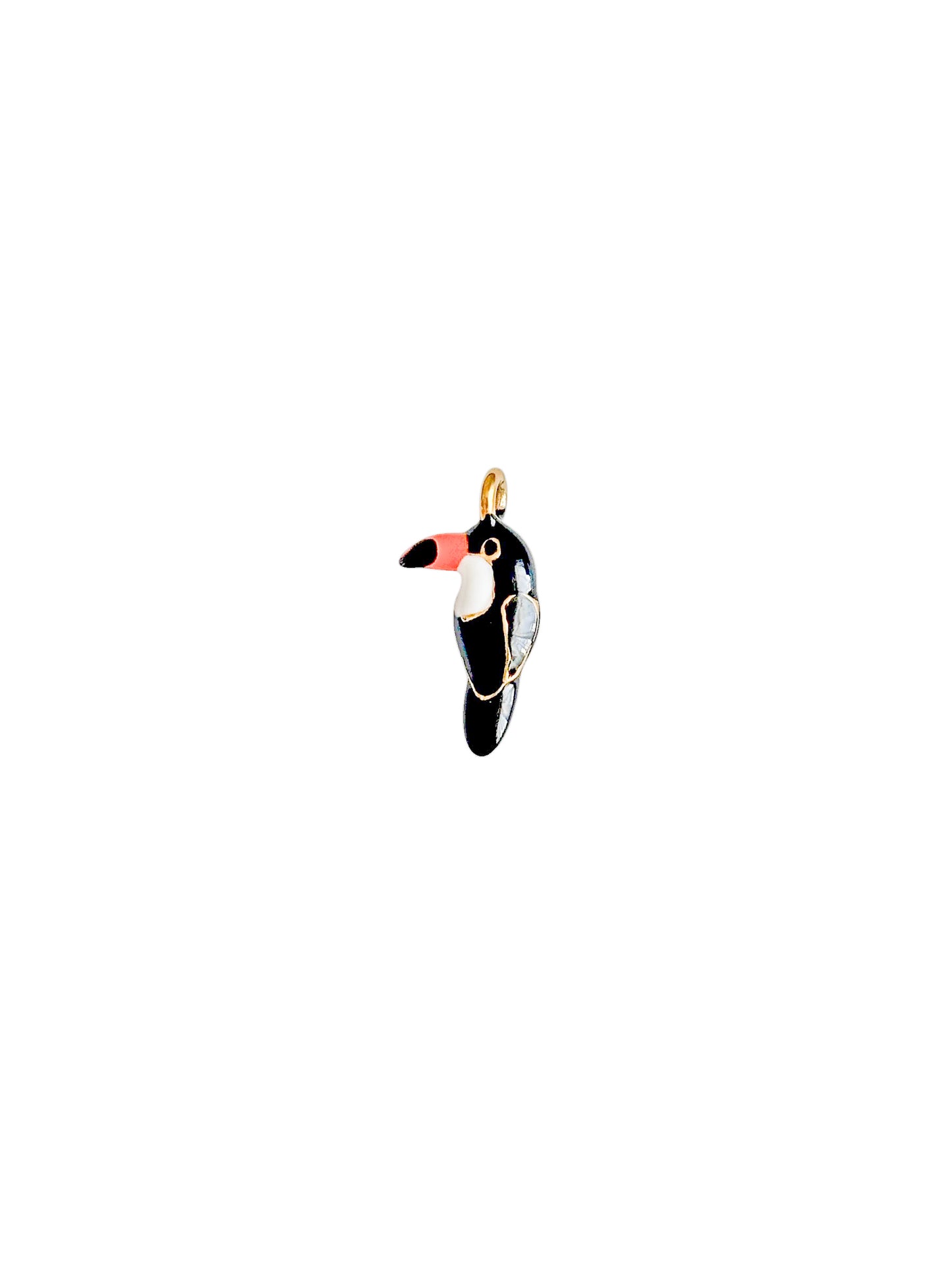 Charm Toucan