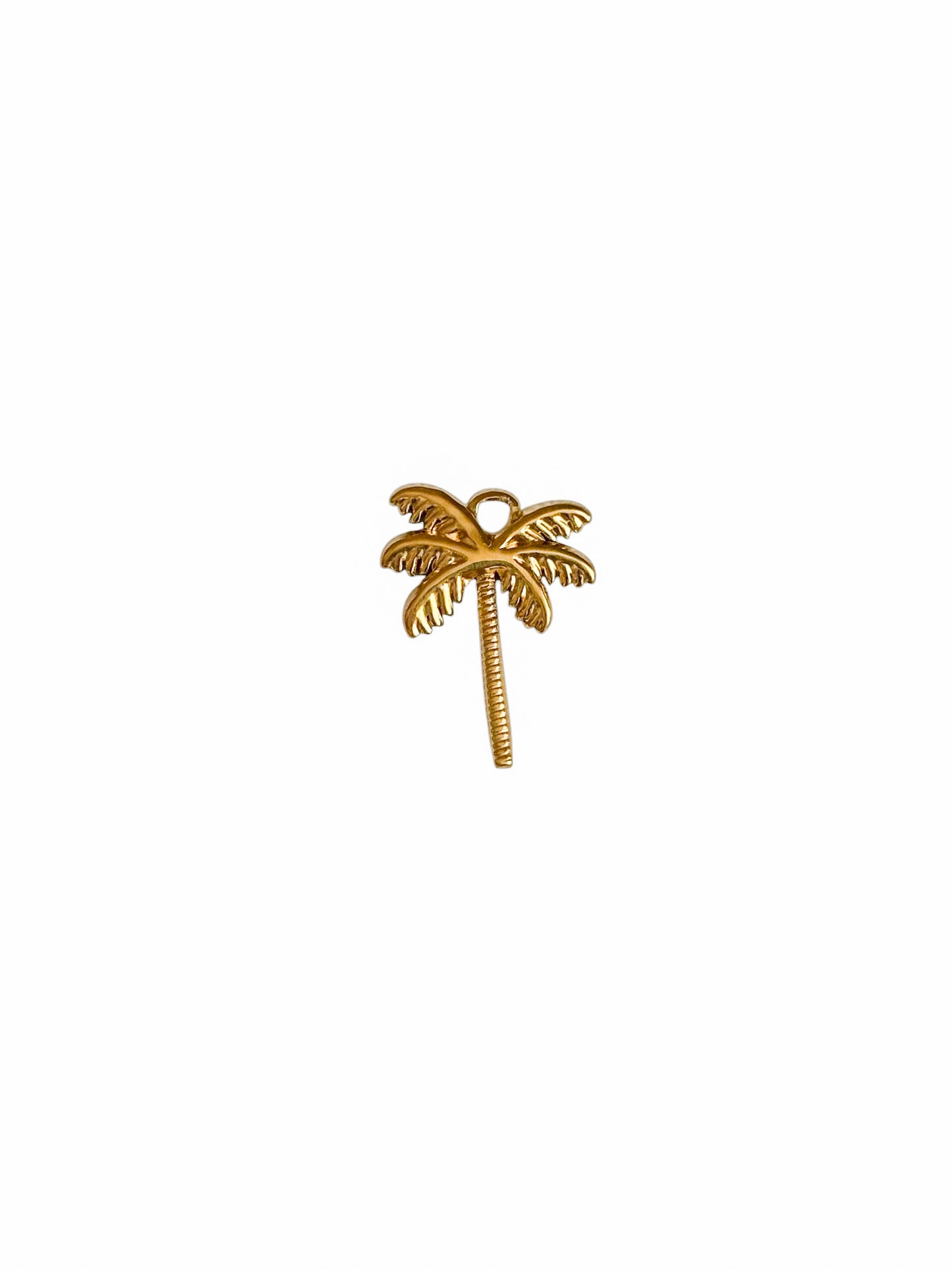 Charm PALMIER