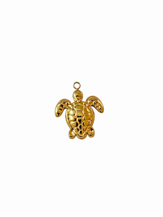 Charm TORTUE