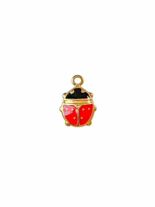 Charm Coccinelle