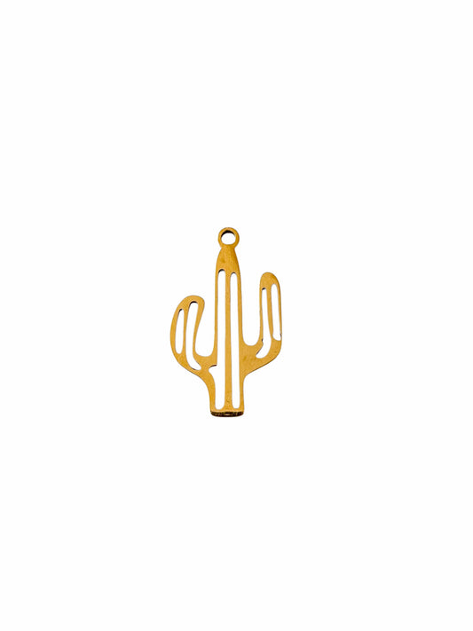 Charm CACTUS